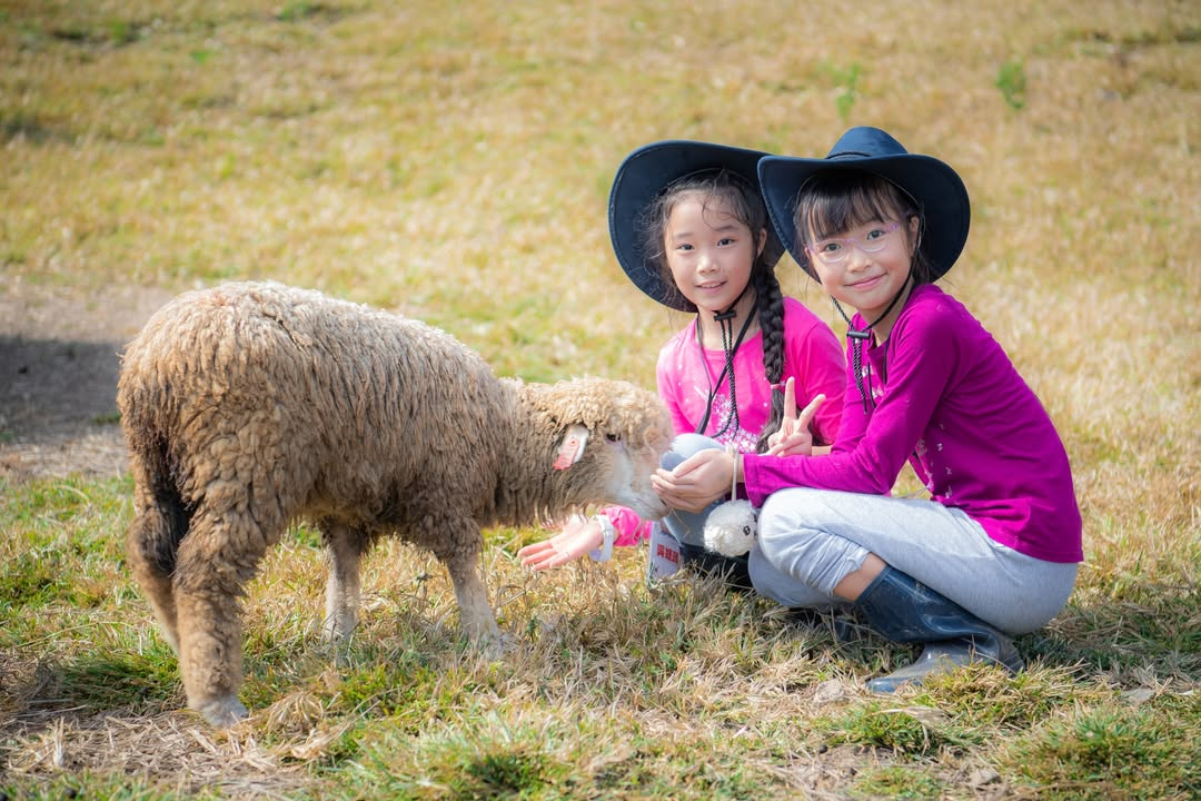 週六又要帶新的一批小勇士上山當牧羊人了，真的很喜歡帶這個行程…